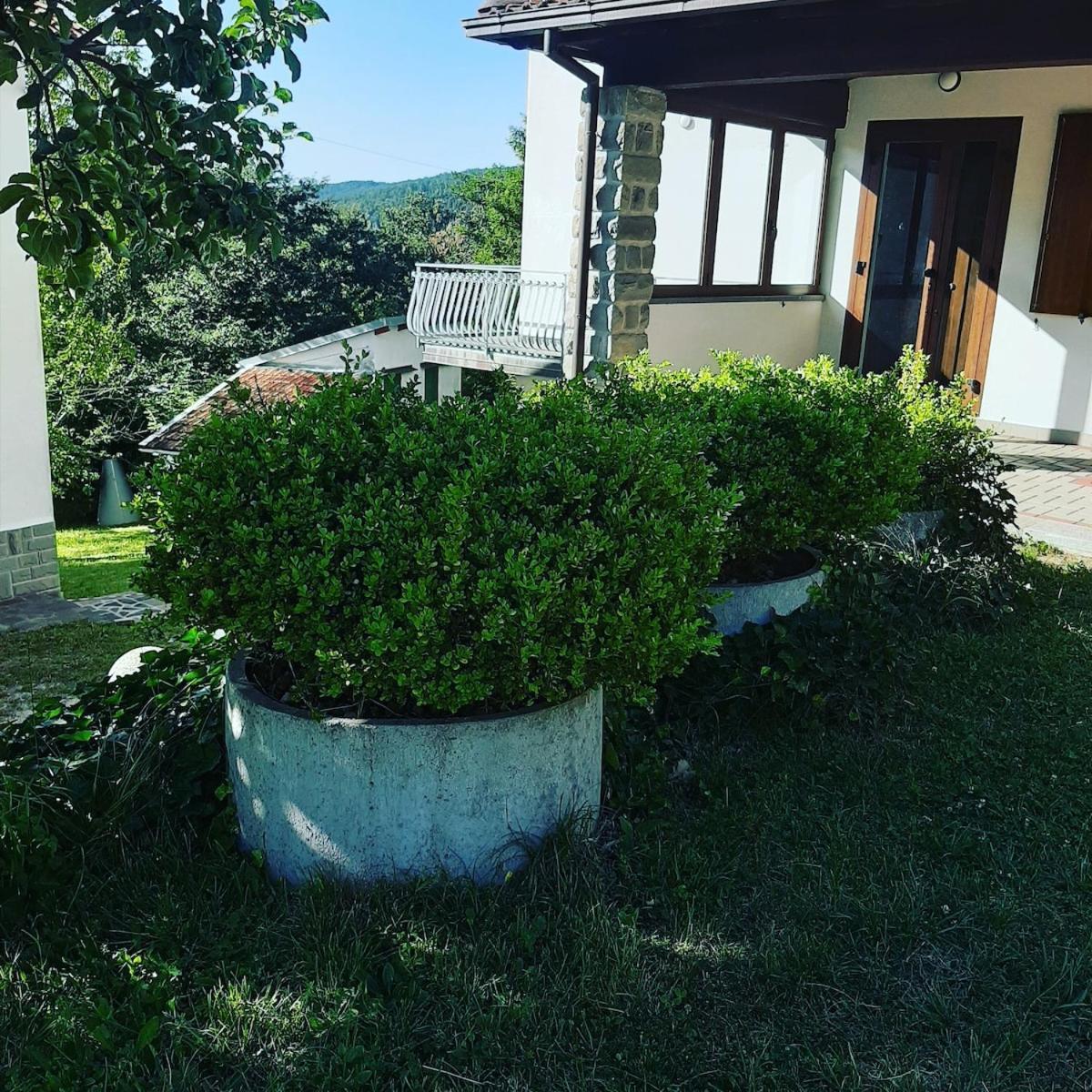 B&B Ca'Di Beppe Madonna di Fornelli Exterior photo